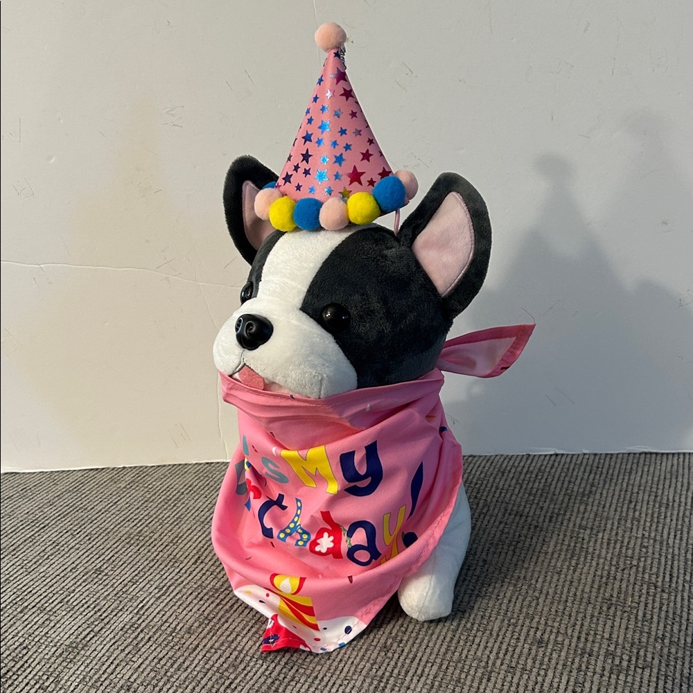 10/$30 Pink Dog Birthday Bandana and Party Hat Set NEW celebrate